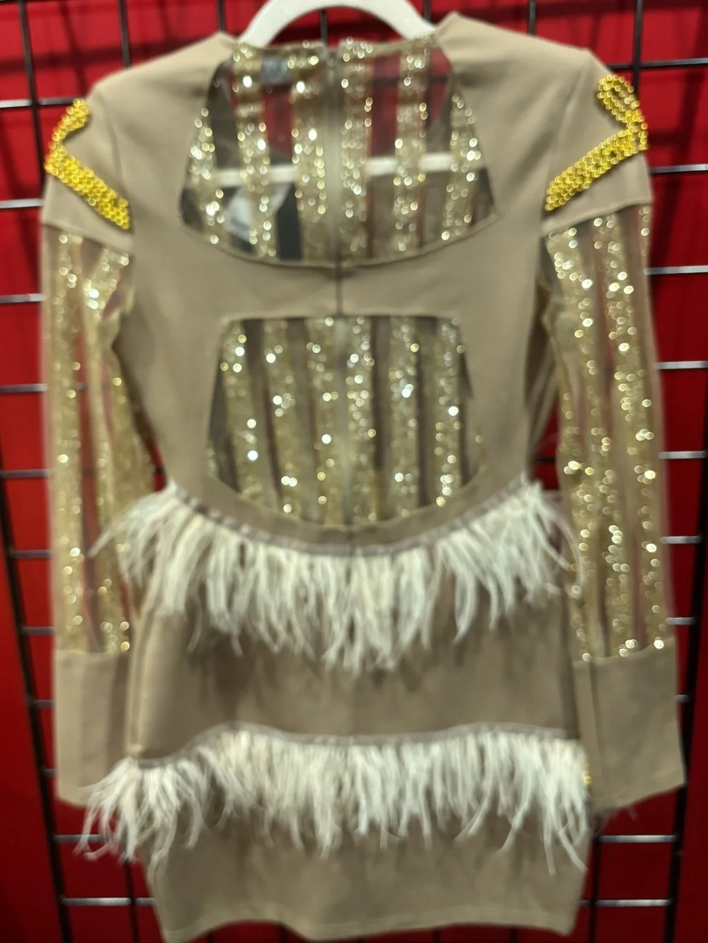 AKIRA Taupe Mini Dress with Gold Beaded Detail & Feather Trim